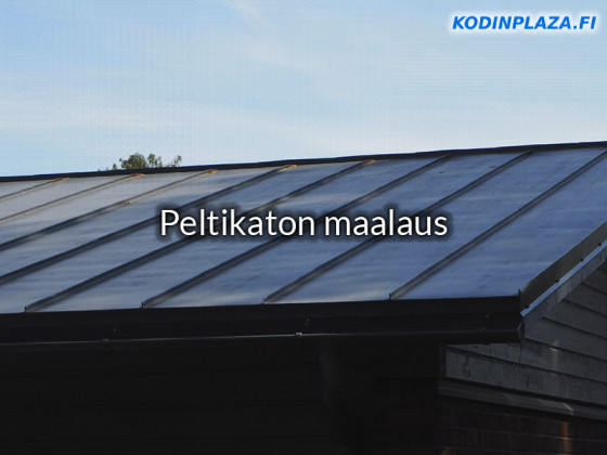 Katon Maalaus Katonkorjaus